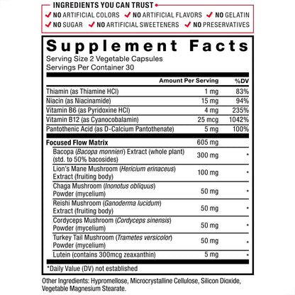 Force Factor Forebrain Focus Brain Booster – Nootropikum für Konzentration, Gedächtnis und Produktivität, 60 Kapseln