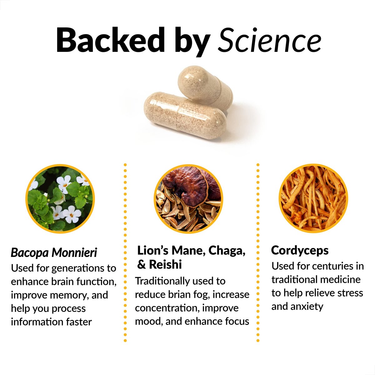Force Factor Forebrain Focus Brain Booster – Nootropikum für Konzentration, Gedächtnis und Produktivität, 60 Kapseln