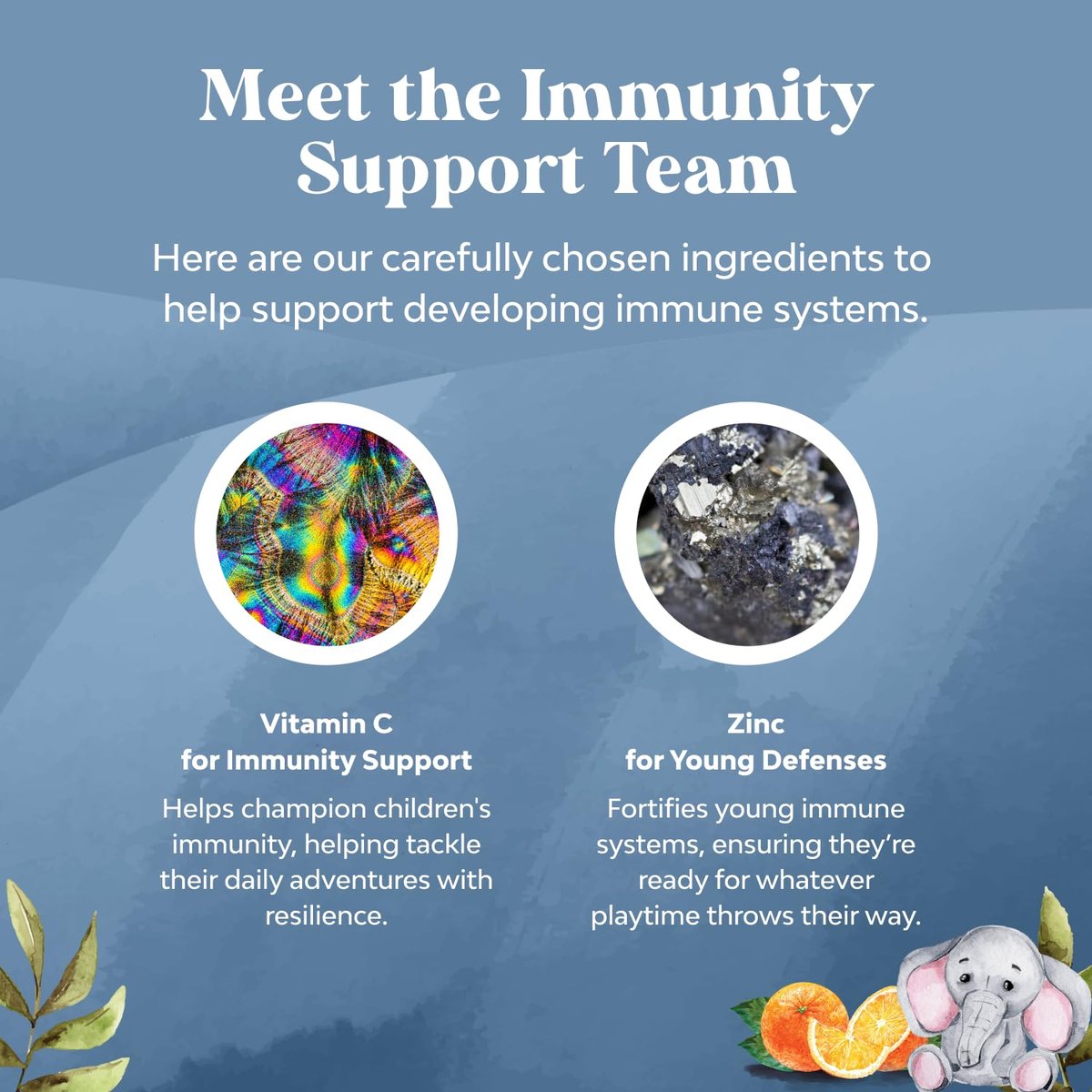 Natures Craft Kinder Immunitäts-Gummibärchen - Vitamin C, Zink und Echinacea für Kinder - Vegan, glutenfrei, gelatinefrei - 60 Stück