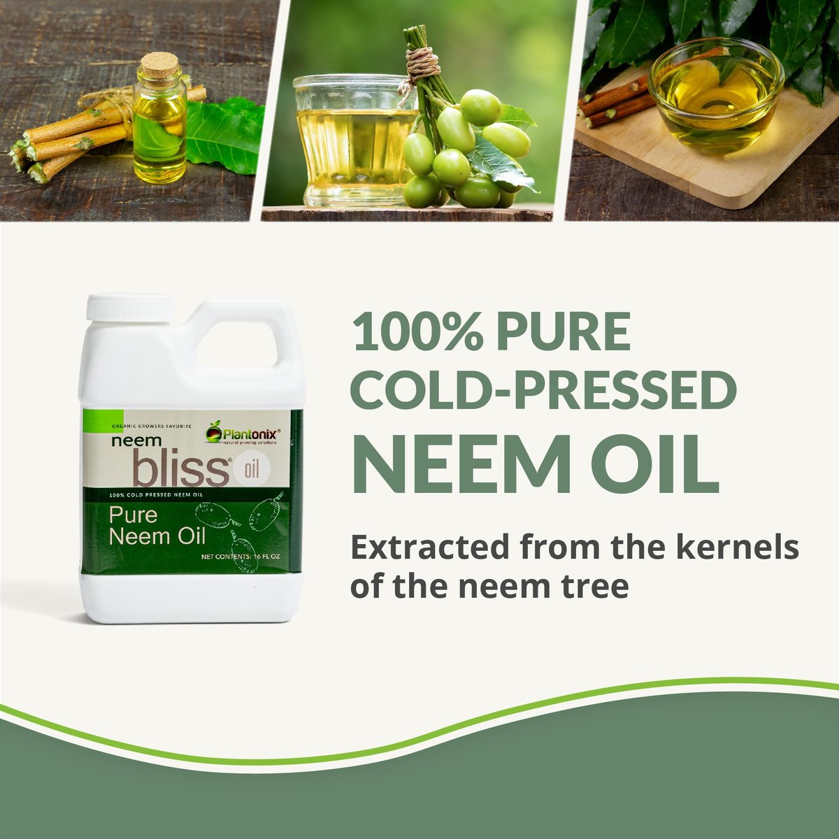 Neem Bliss (8 Fl Oz) - Reines Neemöl Konzentrat - 100% kaltgepresstes Neemöl - All-natürliches Neemöl Konzentrat - Unraffiniertes Neemöl für Haare - Neemsamenöl Konzentrat