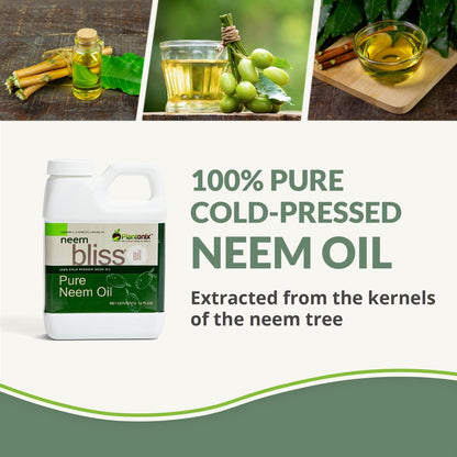 Neem Bliss (8 Fl Oz) - Reines Neemöl Konzentrat - 100% kaltgepresstes Neemöl - All-natürliches Neemöl Konzentrat - Unraffiniertes Neemöl für Haare - Neemsamenöl Konzentrat