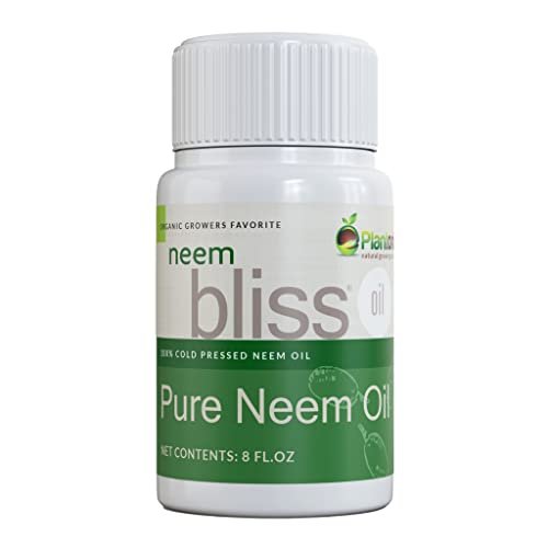 Neem Bliss (8 Fl Oz) - Reines Neemöl Konzentrat - 100% kaltgepresstes Neemöl - All-natürliches Neemöl Konzentrat - Unraffiniertes Neemöl für Haare - Neemsamenöl Konzentrat
