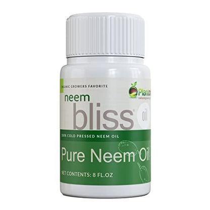 Neem Bliss (8 Fl Oz) - Reines Neemöl Konzentrat - 100% kaltgepresstes Neemöl - All-natürliches Neemöl Konzentrat - Unraffiniertes Neemöl für Haare - Neemsamenöl Konzentrat