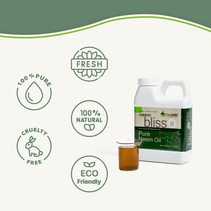 Neem Bliss (8 Fl Oz) - Reines Neemöl Konzentrat - 100% kaltgepresstes Neemöl - All-natürliches Neemöl Konzentrat - Unraffiniertes Neemöl für Haare - Neemsamenöl Konzentrat