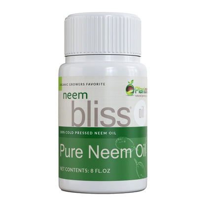 Neem Bliss (8 Fl Oz) - Reines Neemöl Konzentrat - 100% kaltgepresstes Neemöl - All-natürliches Neemöl Konzentrat - Unraffiniertes Neemöl für Haare - Neemsamenöl Konzentrat