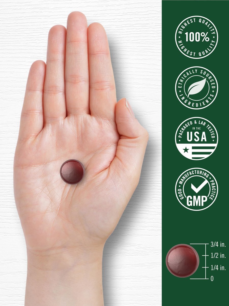 Carlyle Ginkgo Biloba 70 Gummibärchen | 45:1 Blattextrakt | Pfirsich-Himbeer-Geschmack | Vegan, Nicht-GVO, Glutenfrei