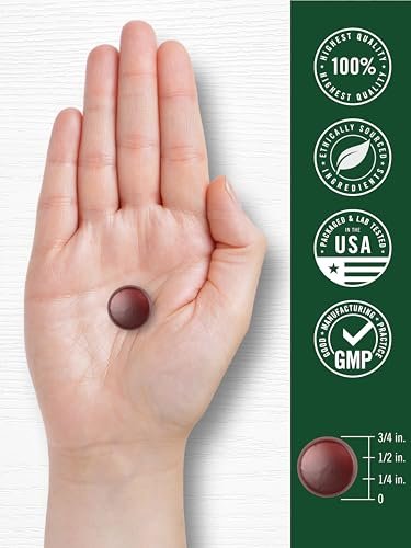 Carlyle Ginkgo Biloba 70 Gummibärchen | 45:1 Blattextrakt | Pfirsich-Himbeer-Geschmack | Vegan, Nicht-GVO, Glutenfrei