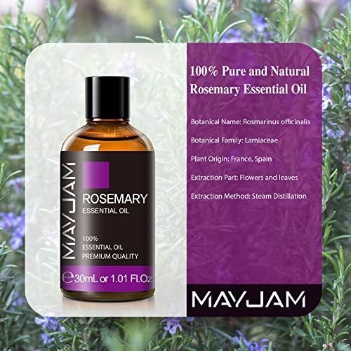 Rosmarin ätherisches Öl 30 ml / 1,01 Fl.oz – MAYJAM Premium Rosmarinöl mit Glaspipette, ideal für Aromatherapie-Diffuser und Kerzenherstellung