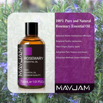 Rosmarin ätherisches Öl 30 ml / 1,01 Fl.oz – MAYJAM Premium Rosmarinöl mit Glaspipette, ideal für Aromatherapie-Diffuser und Kerzenherstellung