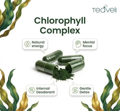 Spirulina und Chlorella Kapseln – Chlorophyll Tabletten & Blaualgen für kraftvolle Entgiftung, Energie & ein gesundes Immunsystem – 3x mehr Chlorella Spirulina Pulver/Portion – 90 Stück