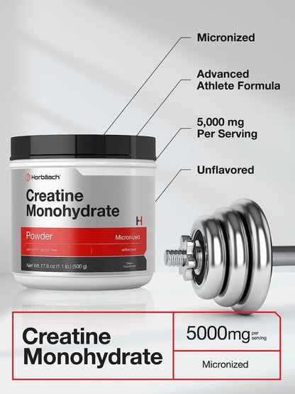 Horbäach Kreatin Monohydrat Pulver | 1,1 lb (500 g) | Mikronisiert und unaromatisiert | Vegetarisch, Non-GMO und glutenfrei