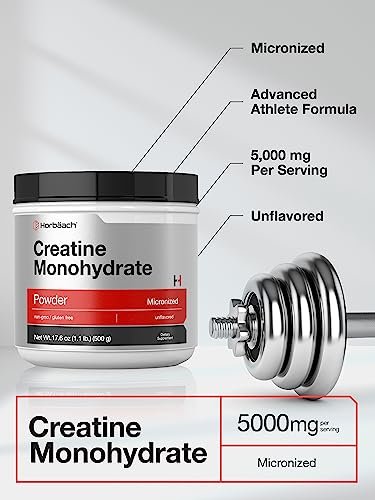 Horbäach Kreatin Monohydrat Pulver | 1,1 lb (500 g) | Mikronisiert und unaromatisiert | Vegetarisch, Non-GMO und glutenfrei