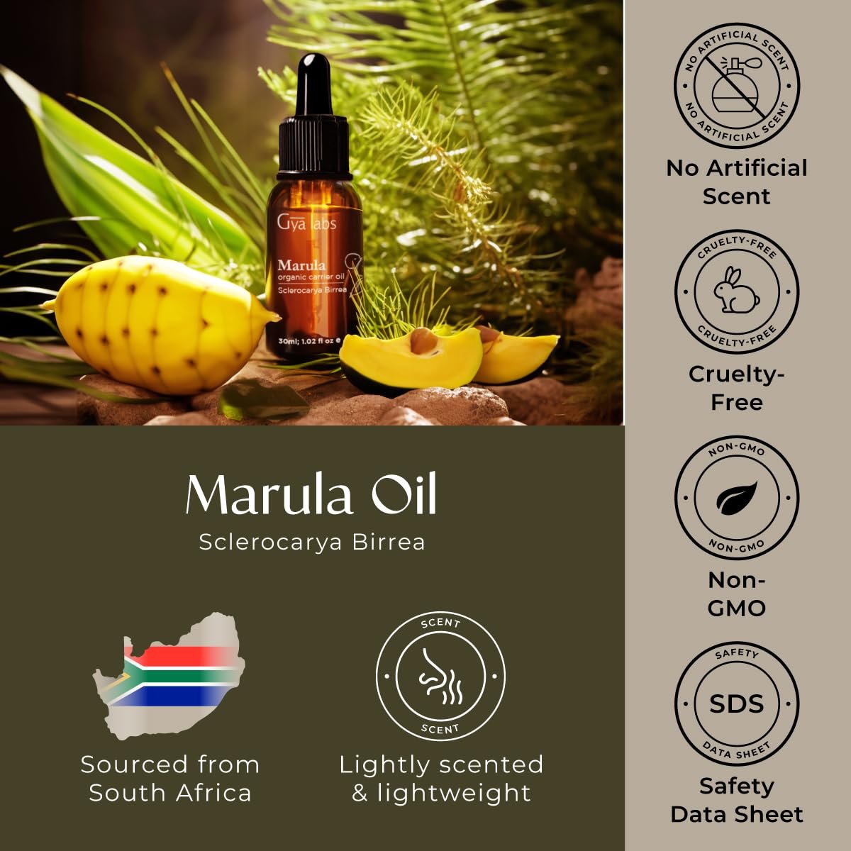 Gya Labs Marula Öl - 30 ml - Trägeröl für Haare, Haut, Gesicht, Kopfhaut & Körpermassage