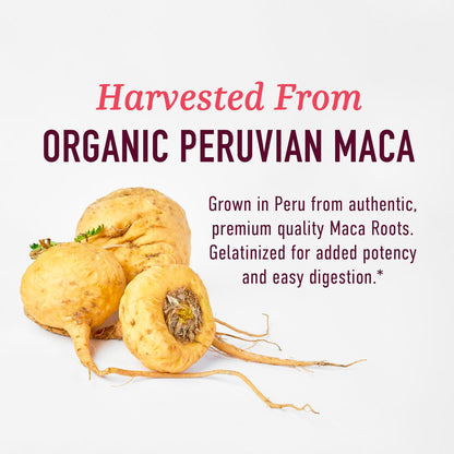 Bio Maca-Wurzel Kapseln für Frauen | Peruanische Maca 2250MG Extra Stärke | Rotes, Schwarzes & Gelbes Wurzelpulver mit Schwarzem Pfeffer | Pflanzliches Nahrungsergänzungsmittel zur Unterstützung von Energie & Hormonhaushalt | 120 Stück