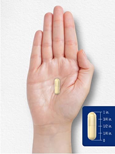 Carlyle Gelatine Kapseln | 2160 mg | 250 Kapseln | mit Silizium-Optimierer | Nicht-GVO & glutenfrei