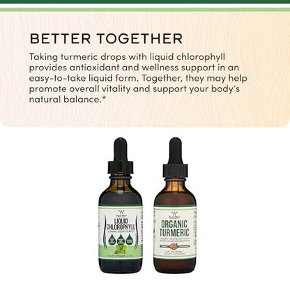 Chlorophyll Liquid Drops – für Verdauung, Darmgesundheit, Energie und Entgiftung – Vegan &amp; Pfefferminzgeschmack (2 oz) von Double Wood