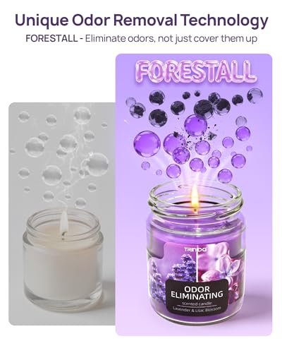 TRINIDa Lavendel & Fliederblüte Duftkerzen Set – 12oz Premium Sojakerzen zur Geruchsbeseitigung für Zuhause