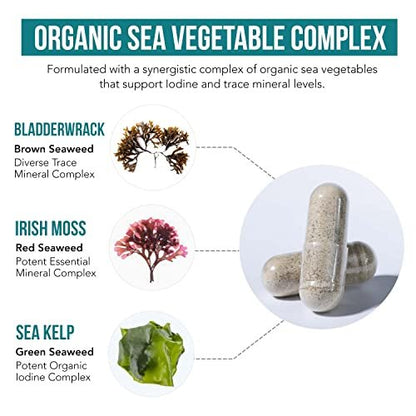 Bio-Jod-Supplement aus Meeresgemüse-Komplex – Vollwertige & rohe Form – Jod plus Spurenelement-Komplex – Enthält reinstes isländisches Seetang, Irish Moss & Blasentang (250 mcg)