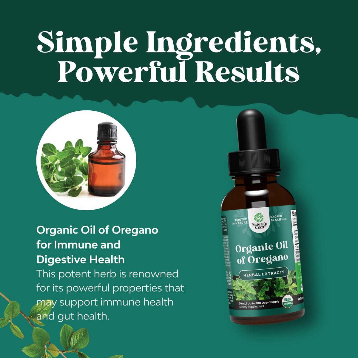 Bio Oregano Öl Tropfen - Hochkonzentriertes flüssiges Oreganoöl mit 60% Carvacrol für Verdauung & Immununterstützung - Flüssiger Kräuterextrakt für Immunstärke & gesunden Darm - 30 ml