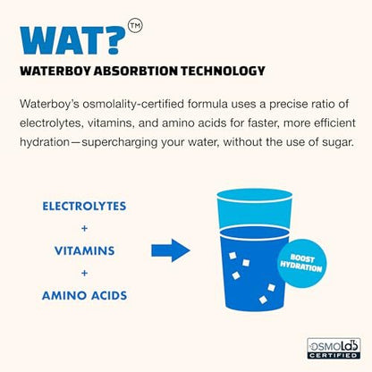 Waterboy Workout Hydration | 2.960 mg Zuckerfreie Elektrolyt-Pulver-Päckchen | L-Glutamin + Vitamine | Kein Zucker, Natürlich, Glutenfrei | 15 Trinkmischungen (Erdbeer-Limonade)