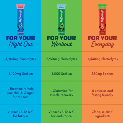 Waterboy Workout Hydration | 2.960 mg Elektrolyt-Pulver-Packungen ohne Zucker | L-Glutamin + Vitamine | Kein Zucker, natürlich, glutenfrei | 15 Trinkmisch-Sticks (Zitrone-Limette)