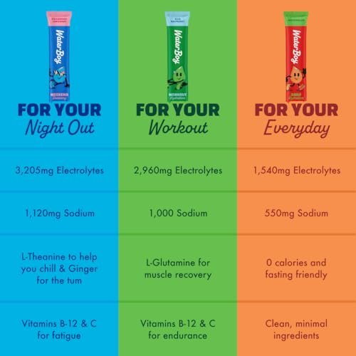 Waterboy Workout Hydration | 2.960 mg Elektrolyt-Pulver-Packungen ohne Zucker | L-Glutamin + Vitamine | Kein Zucker, natürlich, glutenfrei | 15 Trinkmisch-Sticks (Zitrone-Limette)