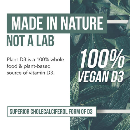 Bio Vitamin D3 5.000 IE – 100 % Vollwertkost & pflanzliches Cholecalciferol, veganes Vitamin D – angereichert mit Präbiotika & Superfood-Komplex – Bio, vegan, ohne Gentechnik & glutenfrei (60 Kapseln)