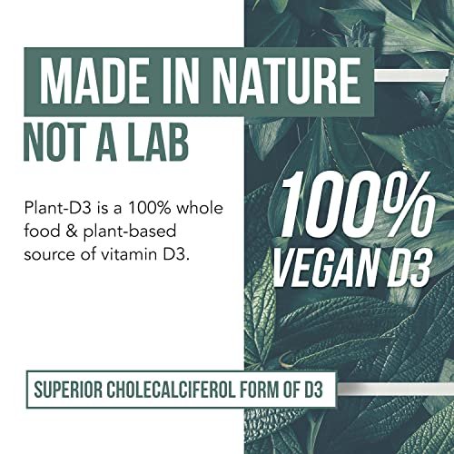 Bio Vitamin D3 5.000 IE – 100 % Vollwertkost & pflanzliches Cholecalciferol, veganes Vitamin D – angereichert mit Präbiotika & Superfood-Komplex – Bio, vegan, ohne Gentechnik & glutenfrei (60 Kapseln)
