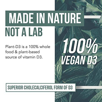 Bio Vitamin D3 5.000 IE – 100 % Vollwertkost & pflanzliches Cholecalciferol, veganes Vitamin D – angereichert mit Präbiotika & Superfood-Komplex – Bio, vegan, ohne Gentechnik & glutenfrei (60 Kapseln)
