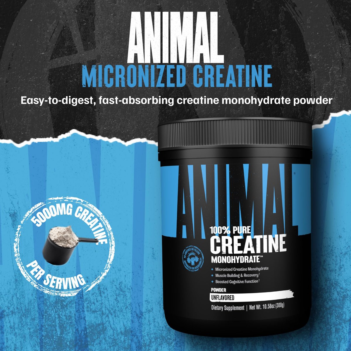 Animal Creatin-Monohydrat-Pulver – Mikronisiert für Muskelregeneration, Zellenergie und tägliches Wohlbefinden – für Männer und Frauen – Ungeschmackt 300 g