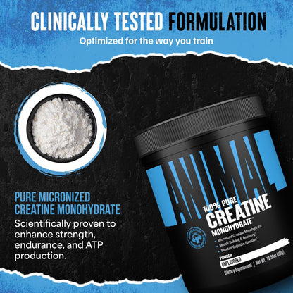 Animal Creatin-Monohydrat-Pulver – Mikronisiert für Muskelregeneration, Zellenergie und tägliches Wohlbefinden – für Männer und Frauen – Ungeschmackt 300 g