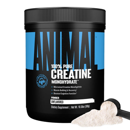 Animal Creatin-Monohydrat-Pulver – Mikronisiert für Muskelregeneration, Zellenergie und tägliches Wohlbefinden – für Männer und Frauen – Ungeschmackt 300 g