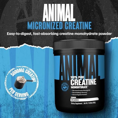 Animal Creatin-Monohydrat-Pulver – Mikronisiert für Muskelregeneration, Zellenergie und tägliches Wohlbefinden – für Männer und Frauen – Ungeschmackt 300 g