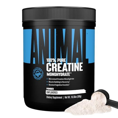 Animal Creatin-Monohydrat-Pulver – Mikronisiert für Muskelregeneration, Zellenergie und tägliches Wohlbefinden – für Männer und Frauen – Ungeschmackt 300 g