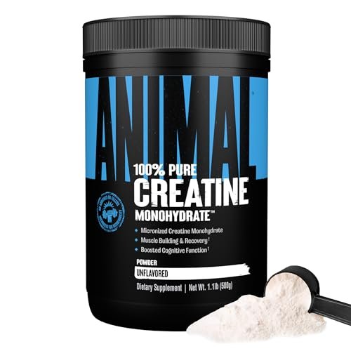 Animal Creatine Monohydrat Pulver – Mikronisiertes Kreatin für Frauen und Männer, unterstützt Muskelwachstum, Kraft, Ausdauer, Erholung und ATP-Produktion, Fitness- & Trainingsergänzung – Ungeschmackvoll, 500 g