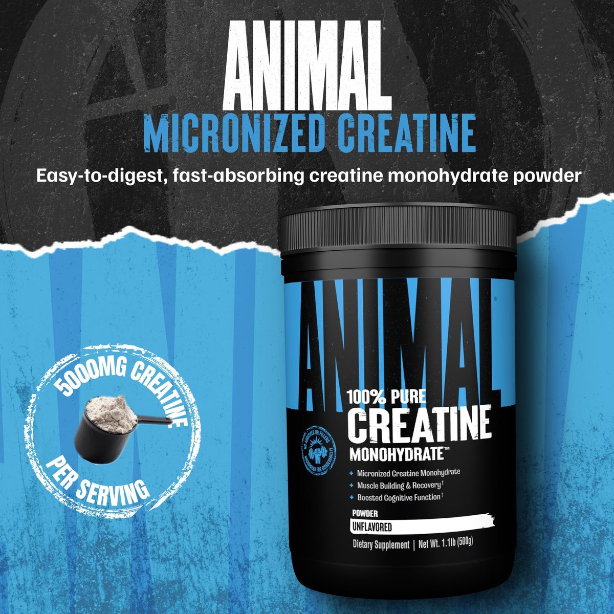 Animal Creatine Monohydrat Pulver – Mikronisiertes Kreatin für Frauen und Männer, unterstützt Muskelwachstum, Kraft, Ausdauer, Erholung und ATP-Produktion, Fitness- & Trainingsergänzung – Ungeschmackvoll, 500 g