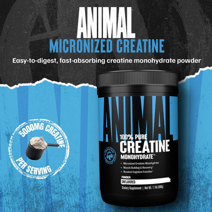 Animal Creatine Monohydrat Pulver – Mikronisiertes Kreatin für Frauen und Männer, unterstützt Muskelwachstum, Kraft, Ausdauer, Erholung und ATP-Produktion, Fitness- & Trainingsergänzung – Ungeschmackvoll, 500 g