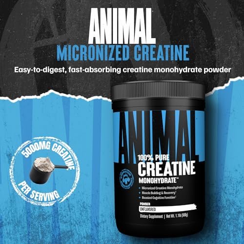 Animal Creatine Monohydrat Pulver – Mikronisiertes Kreatin für Frauen und Männer, unterstützt Muskelwachstum, Kraft, Ausdauer, Erholung und ATP-Produktion, Fitness- & Trainingsergänzung – Ungeschmackvoll, 500 g