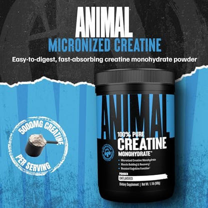 Animal Creatine Monohydrat Pulver – Mikronisiertes Kreatin für Frauen und Männer, unterstützt Muskelwachstum, Kraft, Ausdauer, Erholung und ATP-Produktion, Fitness- & Trainingsergänzung – Ungeschmackvoll, 500 g