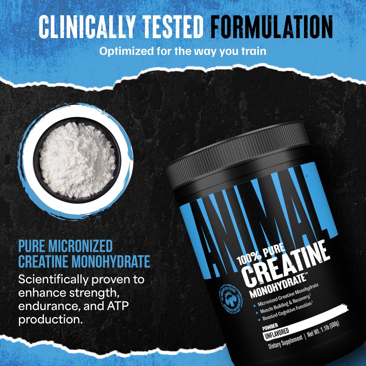 Animal Creatine Monohydrat Pulver – Mikronisiertes Kreatin für Frauen und Männer, unterstützt Muskelwachstum, Kraft, Ausdauer, Erholung und ATP-Produktion, Fitness- & Trainingsergänzung – Ungeschmackvoll, 500 g