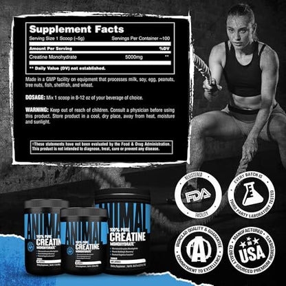 Animal Creatine Monohydrat Pulver – Mikronisiertes Kreatin für Frauen und Männer, unterstützt Muskelwachstum, Kraft, Ausdauer, Erholung und ATP-Produktion, Fitness- & Trainingsergänzung – Ungeschmackvoll, 500 g
