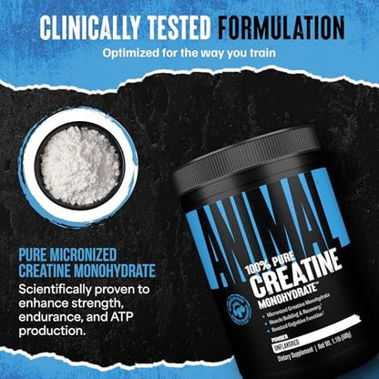 Animal Creatine Monohydrat Pulver – Mikronisiertes Kreatin für Frauen und Männer, unterstützt Muskelwachstum, Kraft, Ausdauer, Erholung und ATP-Produktion, Fitness- & Trainingsergänzung – Ungeschmackvoll, 500 g
