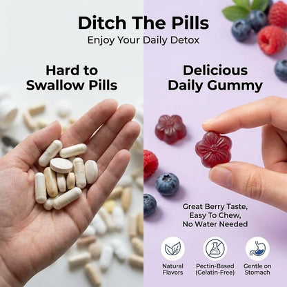 Zuckerfreie Mariendistel Gummis für Leberreinigung & -reparatur (natürlicher Blaubeer-Himbeer-Geschmack) - Mariendistel Supplement mit Antioxidantien, vegan, ersetzt Tabletten & Kapseln