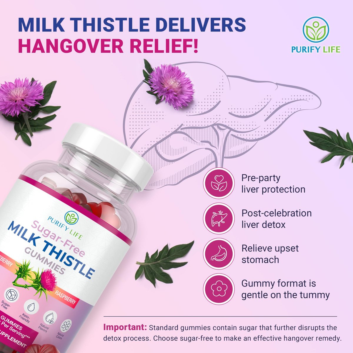 Zuckerfreie Mariendistel Gummis für Leberreinigung & -reparatur (natürlicher Blaubeer-Himbeer-Geschmack) - Mariendistel Supplement mit Antioxidantien, vegan, ersetzt Tabletten & Kapseln