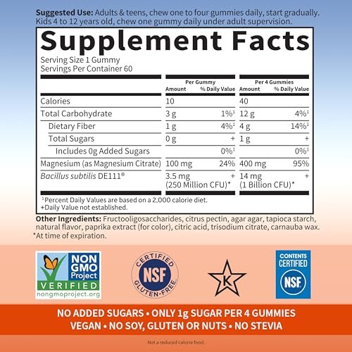 Garden of Life Magnesium Citrat Gummis mit Präbiotika & Probiotika für Stress, Schlaf & Erholung – Vegan, Glutenfrei, Koscher, Ohne Zuckerzusatz, Orangencreme-Geschmack, 60 Stück
