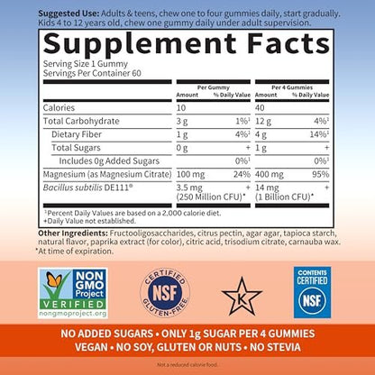 Garden of Life Magnesium Citrat Gummis mit Präbiotika & Probiotika für Stress, Schlaf & Erholung – Vegan, Glutenfrei, Koscher, Ohne Zuckerzusatz, Orangencreme-Geschmack, 60 Stück
