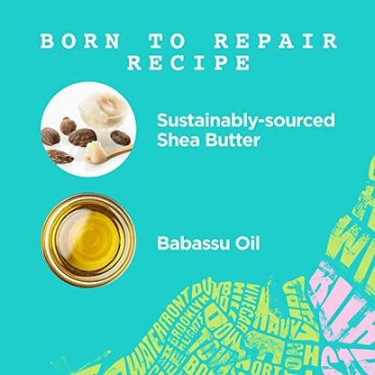 Carol's Daughter Born To Repair Nährendes Shampoo - Sulfatfrei für lockiges Haar mit Sheabutter, 11 Fl Oz