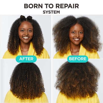 Carol's Daughter Born To Repair Reviving Hair Oil für trockenes, geschädigtes Haar & alle Lockentypen – mit Sheabutter, 125 ml