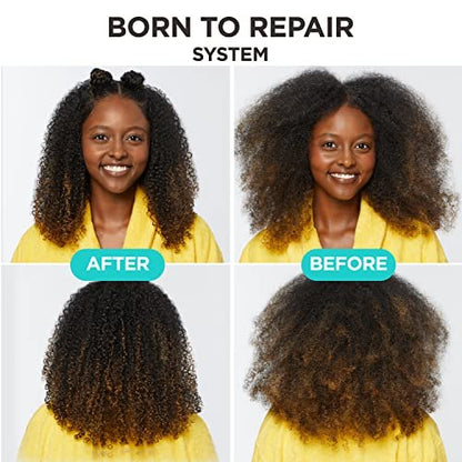 Carol's Daughter Born To Repair Reviving Hair Oil für trockenes, geschädigtes Haar & alle Lockentypen – mit Sheabutter, 125 ml