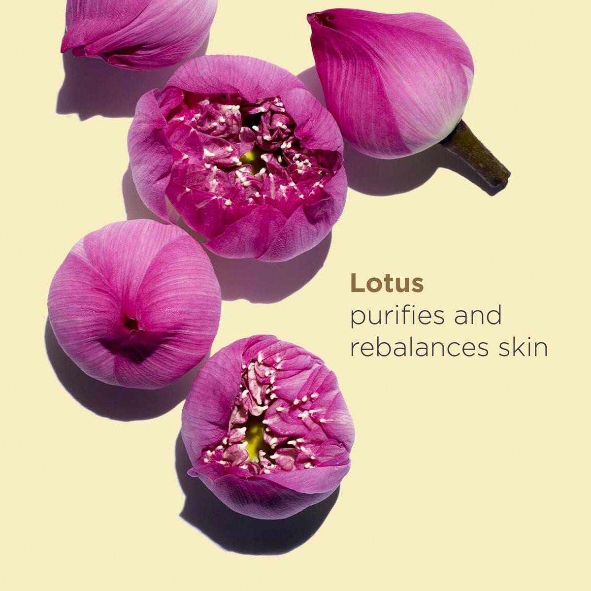 Clarins Lotus Gesichtsöl | Hydratisiert, tonisiert und balanciert die Haut | Verfeinert sichtbar die Poren | Reduziert feine Linien | Die Haut fühlt sich sofort samtig an* | 100% natürliche Pflanzenextrakte | Für ölige bis Mischhaut